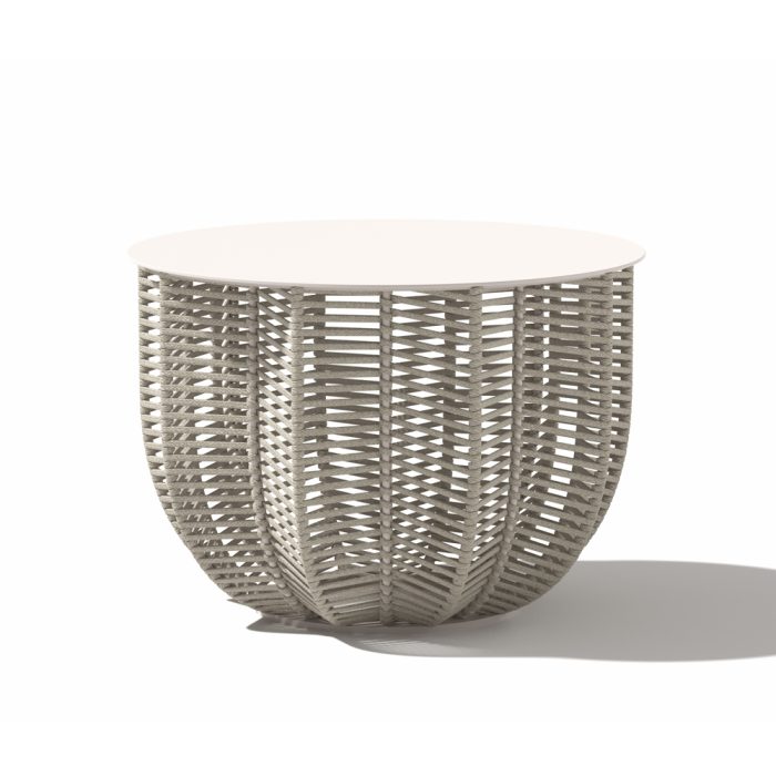 palme1000x1000-1